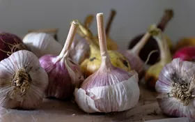 El ajo rojo de Sulmona, en Abruzos: una variedad autóctona muy solicitada en el extranjero